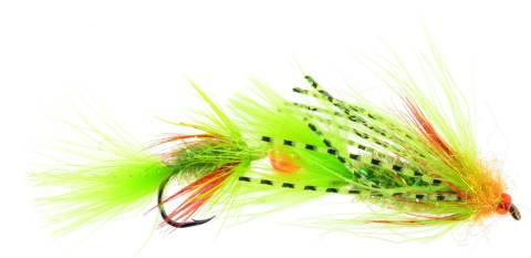 Steelhead Radiation