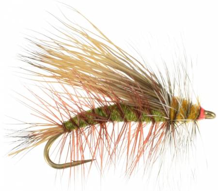 Flies Direct Elk Hare Caddis Brown Assortment 1 Dozen Trout Fishing Flies