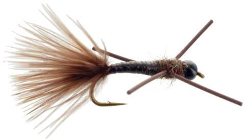 Stonefly X-Legs Black Bead