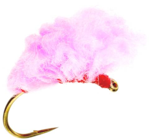 Sucker Spawn - Pink