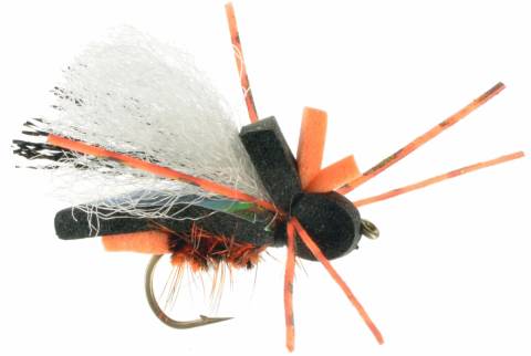 Super Cicada