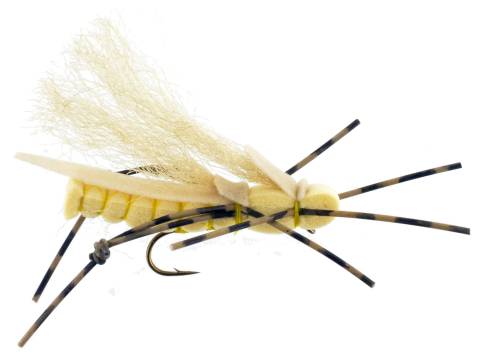 Sweet Grass Hopper