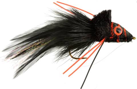 Swimming Frog - Black/Orange