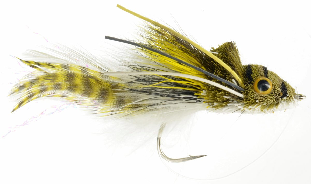 Swimming Frog - White Belly  Fly Fishing Flies For Less