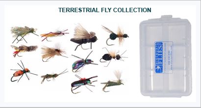 Terrestrial Collection: 12 Flies + Fly Box