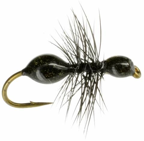 Transpar-Ant Black