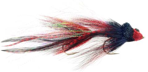 Trick or Treat - Black & Red