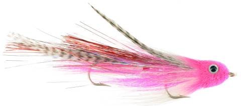 Trick or Treat - Pink & White