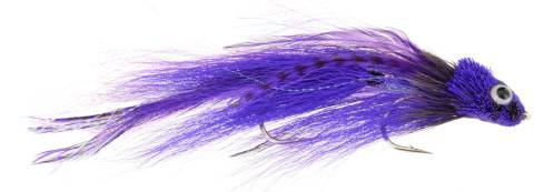 Trick or Treat - Purple & Black