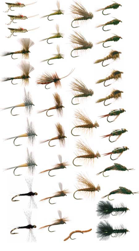 DiscountFlies Terrestrial Dry Fly Fishing Flies – Fishing Kit w