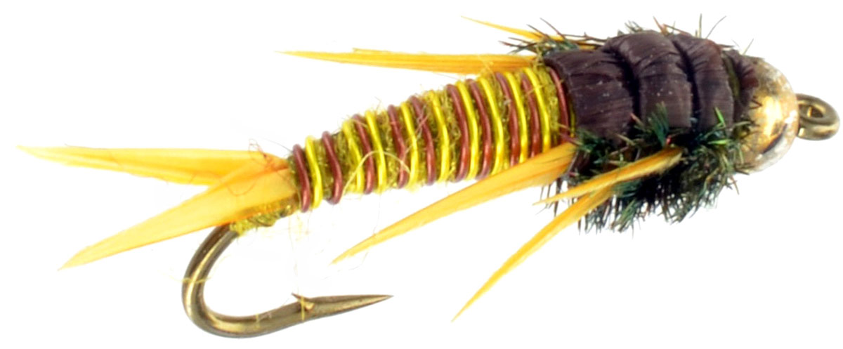 Wired Golden Stonefly | Fly Fishing Flies For Less ...