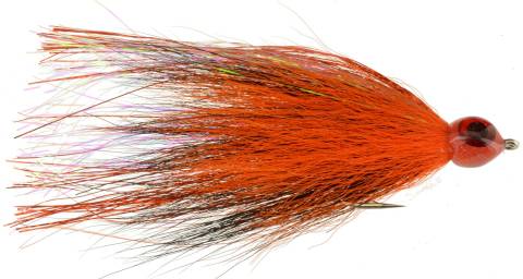 Witches Broom - Halloween