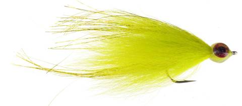 Witches Broom - Yellow Chartreuse