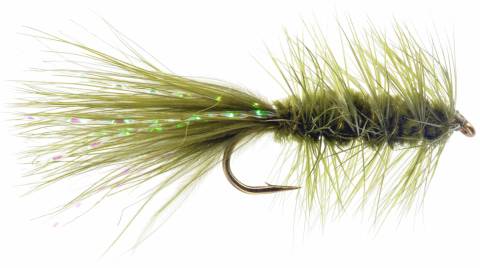 Wooly Bugger - Olive