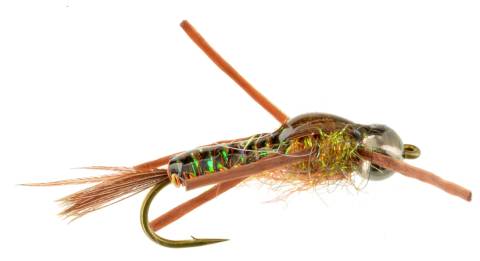 Woven Stonefly Nymph - Salmonfly