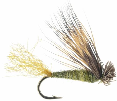 X-Caddis Olive