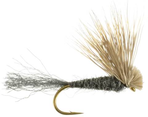 X-Caddis - Black
