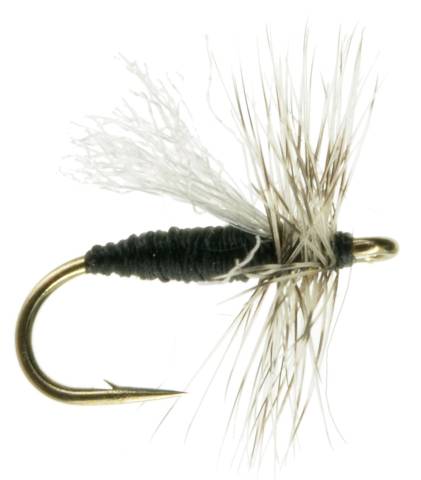 Xelon Midge - Black