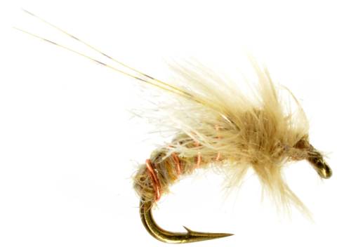 Z-Wing Caddis Pupa -  Amber