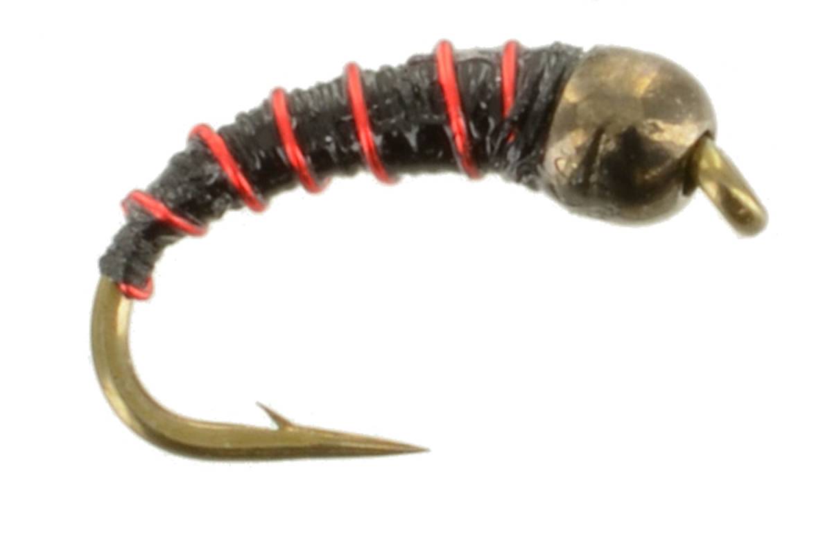 Team Wendy Zebra Midge Ninfe Al Tungsteno Rosso Rame - Mosche Da Pesca A Mosca #20, Per Trota, Confezione Da 6, Fatte A Mano In USA Zebra Midge Tungsteno Team Wendy Zebra Midge Ninfe Al Tungsteno Rosso Rame - Mosche Da Pesca A Mosca #20, Per Trota, Confezione Da 6, Fatte A Mano In USA Zebra Midge Tungsteno