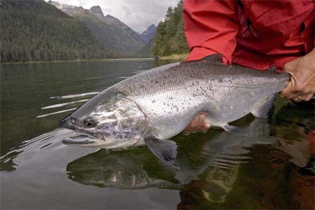 Boris Popov's Big Fish Caught on a Fly From Discountflies Online Fly Shop