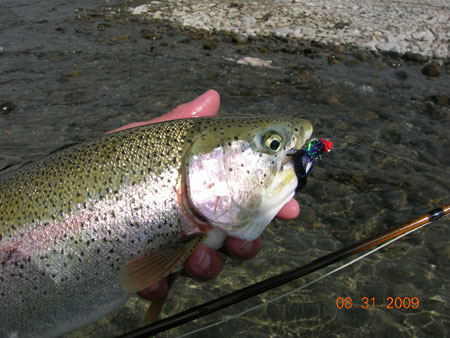 Craig Harned's Big Fish Caught on a Fly From Discountflies Online Fly Shop